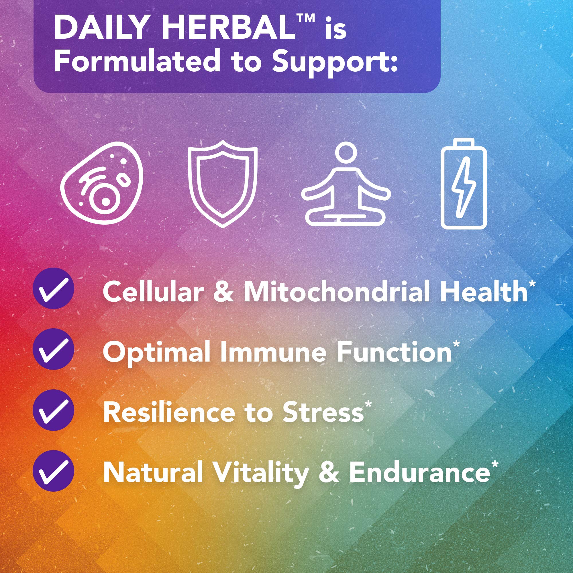Vital Plan Daily Herbal Supplement by Dr. Bill Rawls – Immune Support, Microbiome Balance & Cell Health