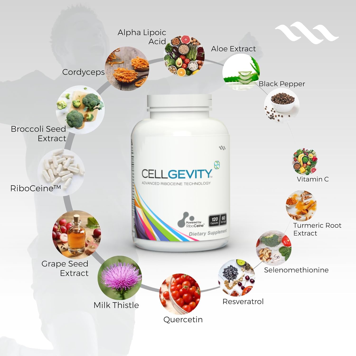 CELLGEVITY Cellgevity with RiboCeine – 120 Vegetarian Capsules, Pack of 2