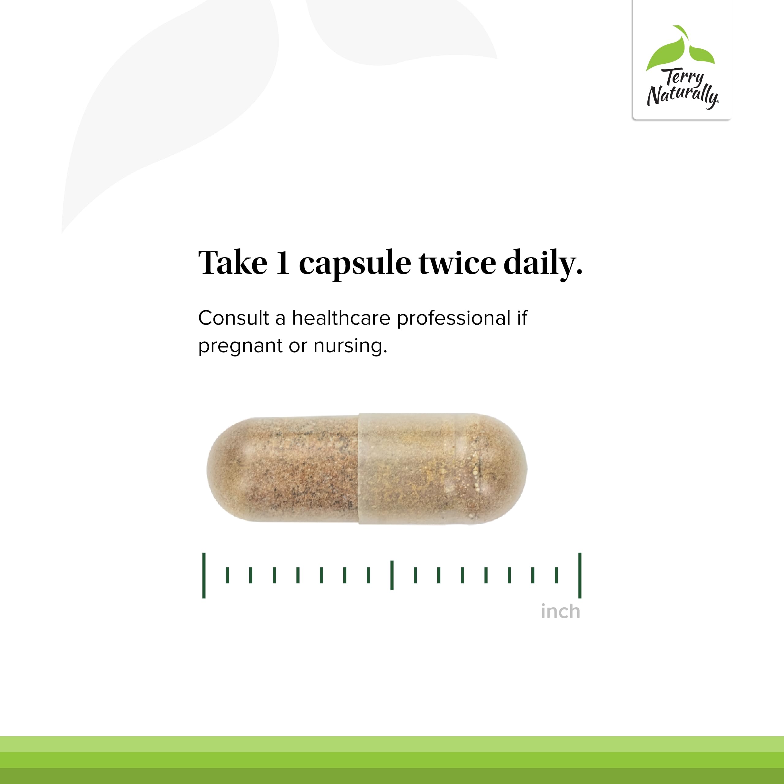 Terry Naturally Healthy Liver – Liver Function Support with Andrographis EP80 & Grape Seed (Gluten-Free, 60 Capsules)