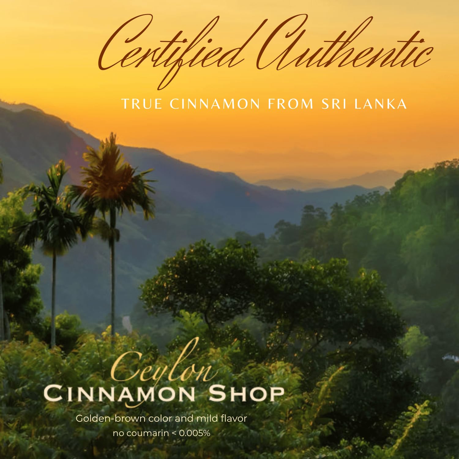 Ceylon Cinnamon Shop – Organic Ceylon Cinnamon Supplement, 90 Capsules