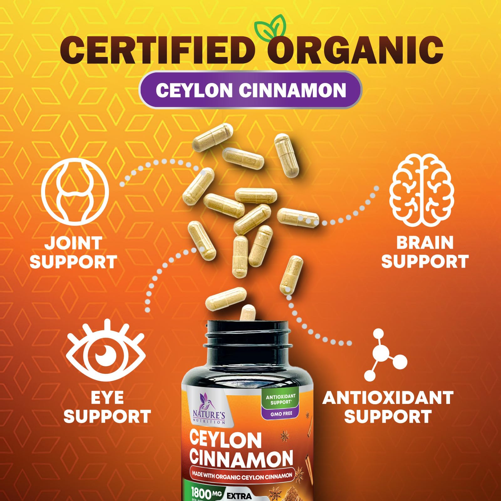 Organic Ceylon Cinnamon 1800mg Supplement – 240 Capsules (USA Bottled)