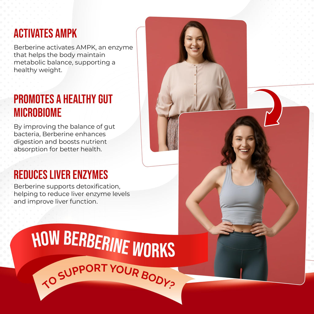 8 in 1 Berberine Supplement - Aumeto | Supports Digestion & Immunity (150-Day Supply)