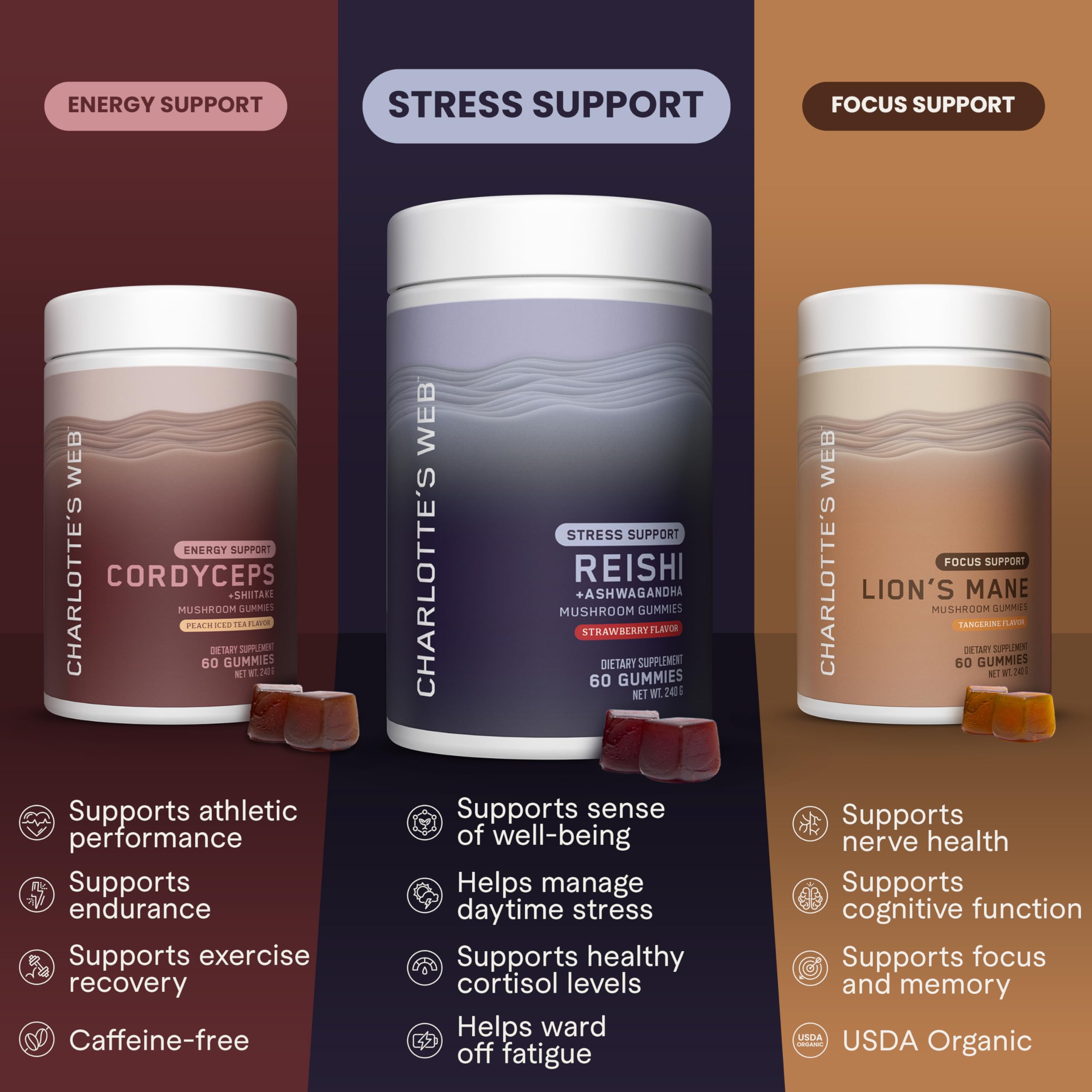 Charlotte's Web Stress Support Mushroom Gummies with Reishi, Ashwagandha & Rhodiola – Strawberry, 30 Servings