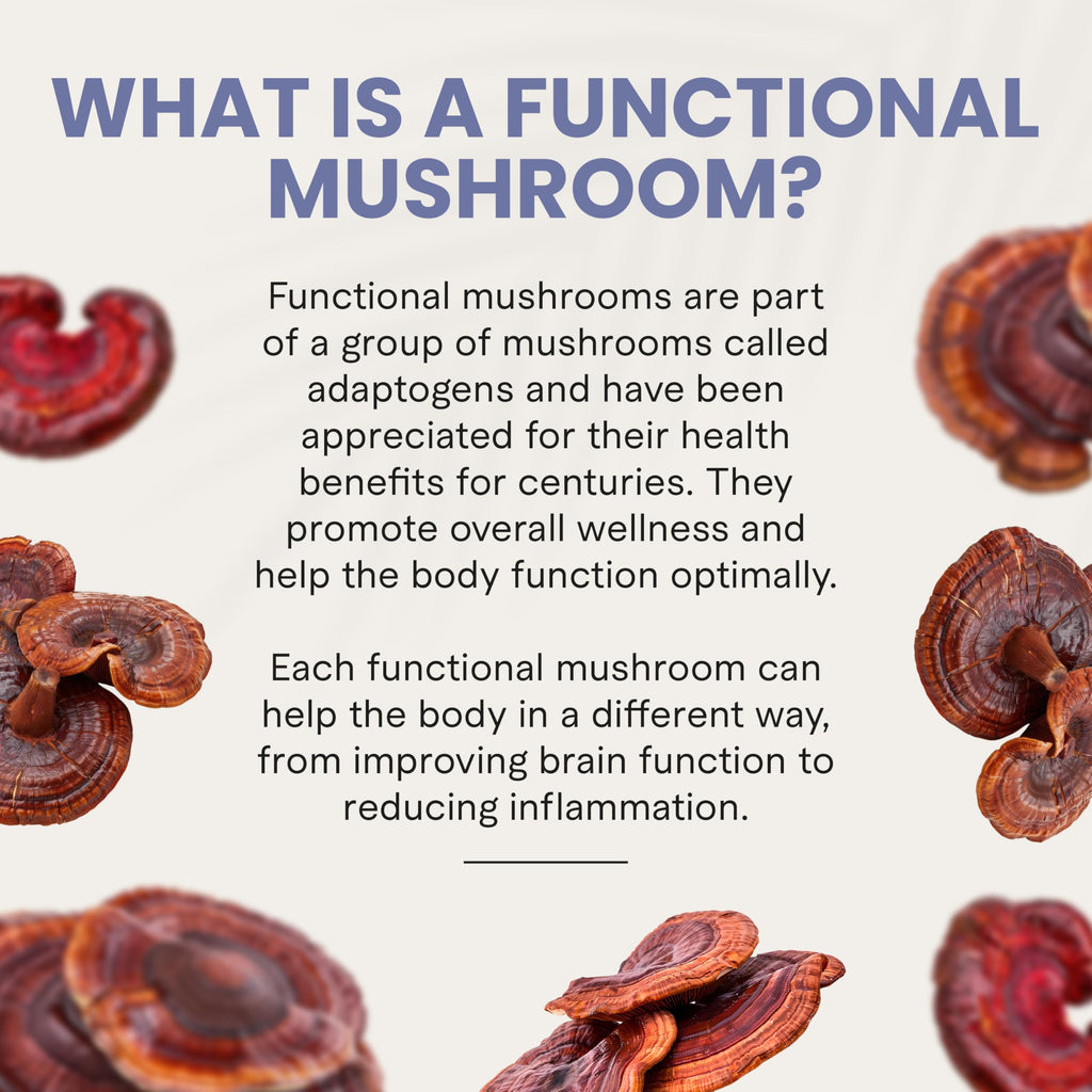 Charlotte's Web Stress Support Mushroom Gummies with Reishi, Ashwagandha & Rhodiola – Strawberry, 30 Servings