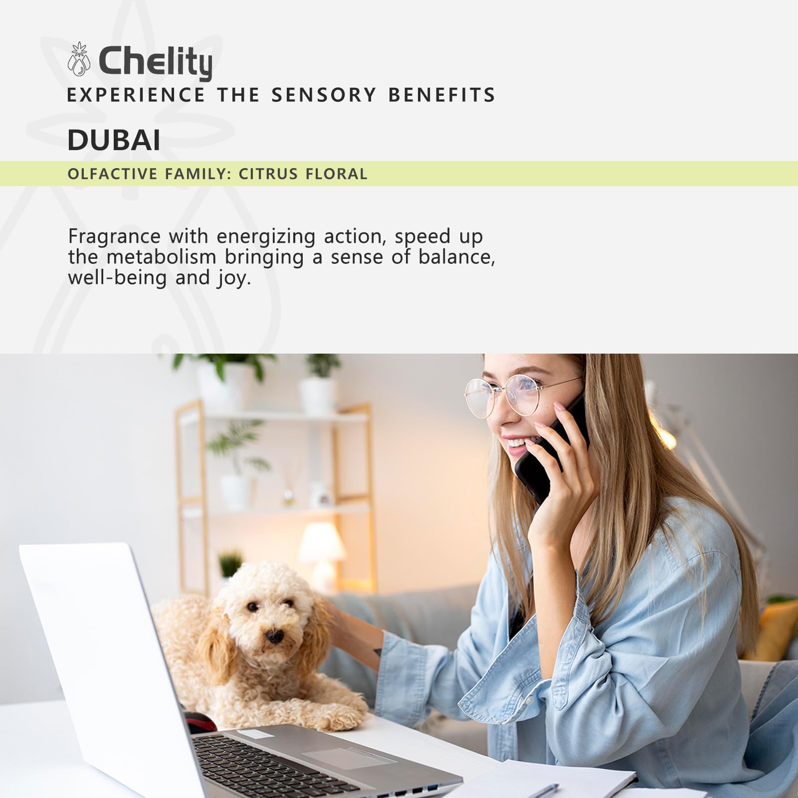 Chelity Hotel Diffuser Oil 5.1 fl oz (150 ml) – Luxury Home Fragrance
