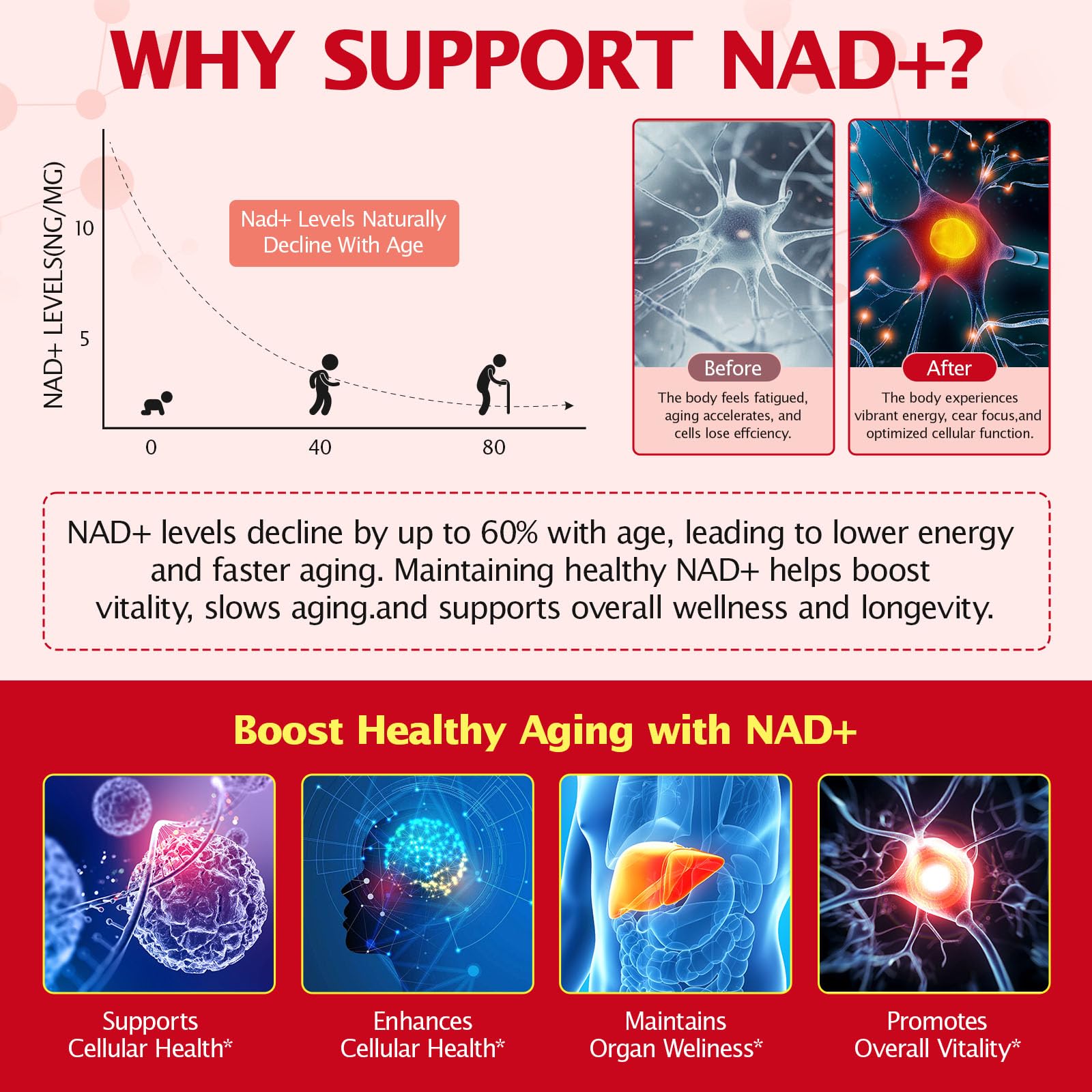 Chenyayun 1000MG Liposomal NAD+ Liquid with Resveratrol & Quercetin – Cellular Longevity, Anti-Aging, Energy | 21 Packets