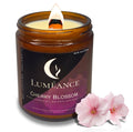 Cherry Blossom Candle | Romance & Spring, 8oz Soy Wood Wick