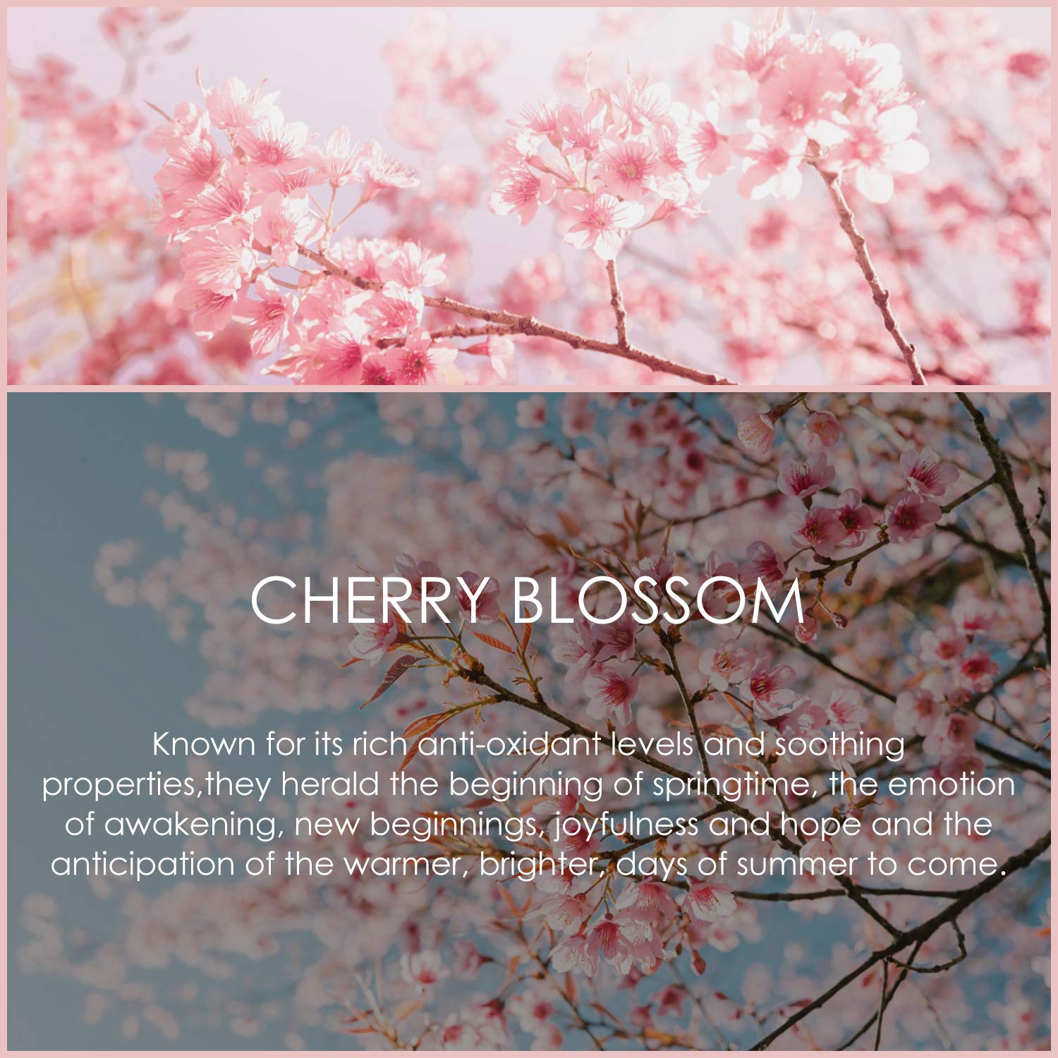 Cherry Blossom Essential Oil 120ml (4 Fl Oz) | SALKING Pure & Natural Fragrance Oils for Diffuser, Soap, Candle Making, Perfume