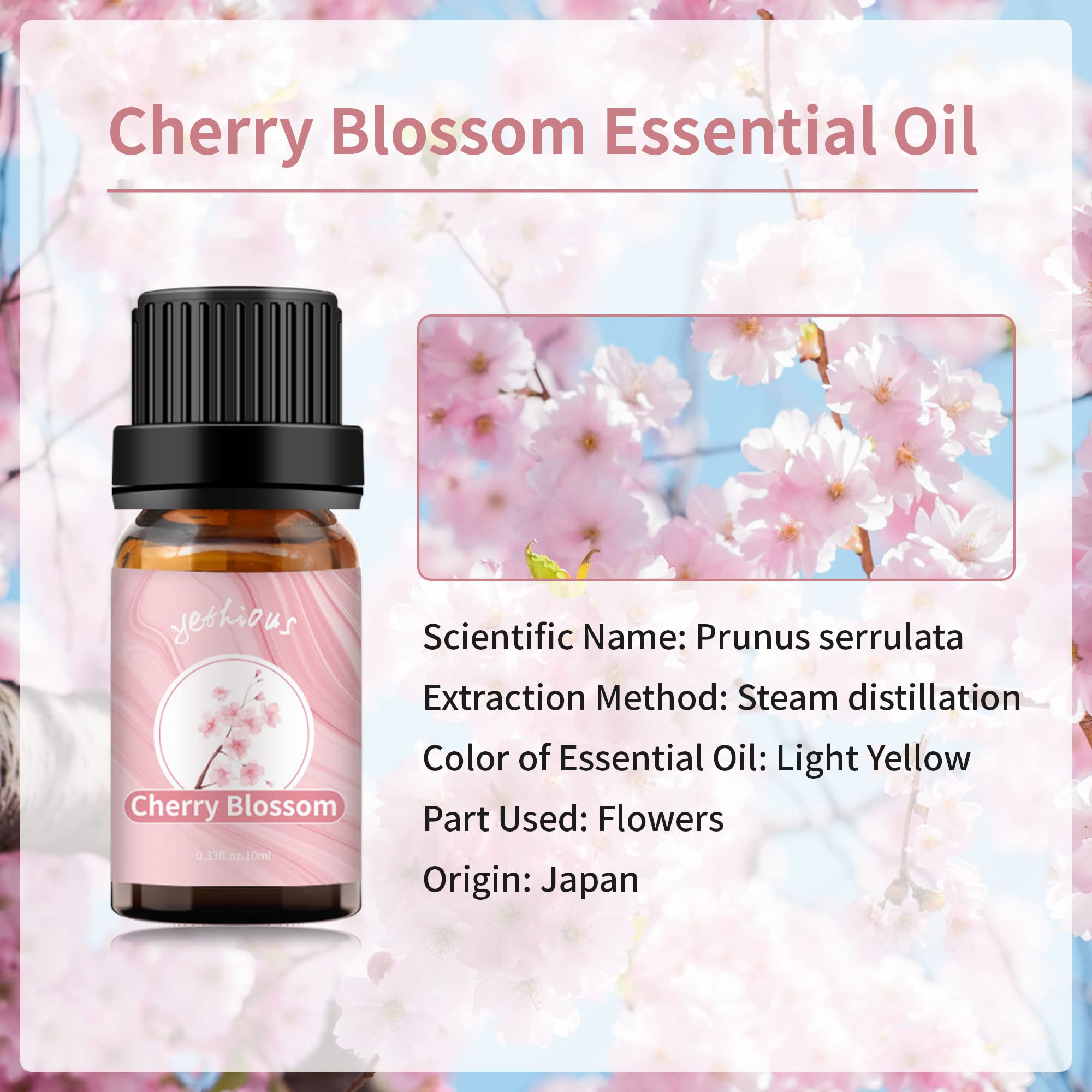 yethious Cherry Blossom Essential Oil – Pure Cherry Blossom Oil for Diffuser & Aromatherapy (10ML)