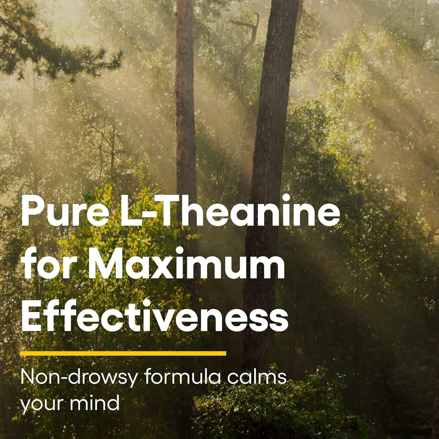 Natural Factors Suntheanine L-Theanine 100 mg – Calm Outlook & Sleep Support | 60 Chewable Tablets
