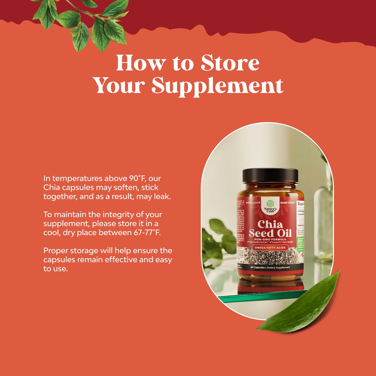 Chia Seed Oil Capsules – Plant-Based Omega 3-6-9 for Heart Health & Digestive Support