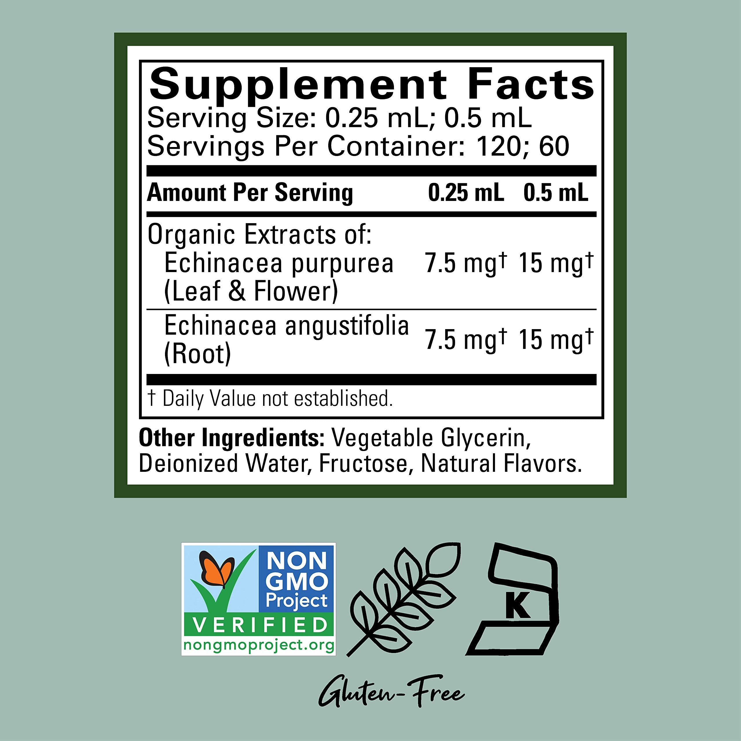 Child Life Echinacea – 1 Fl Oz Glass Bottle | Immune Support for Kids