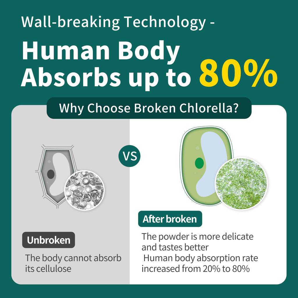 Chlorella Powder Natural 10 oz | Chlorophyll Powder for Immune Support, Liver Function, Vegan Protein & Vitamins