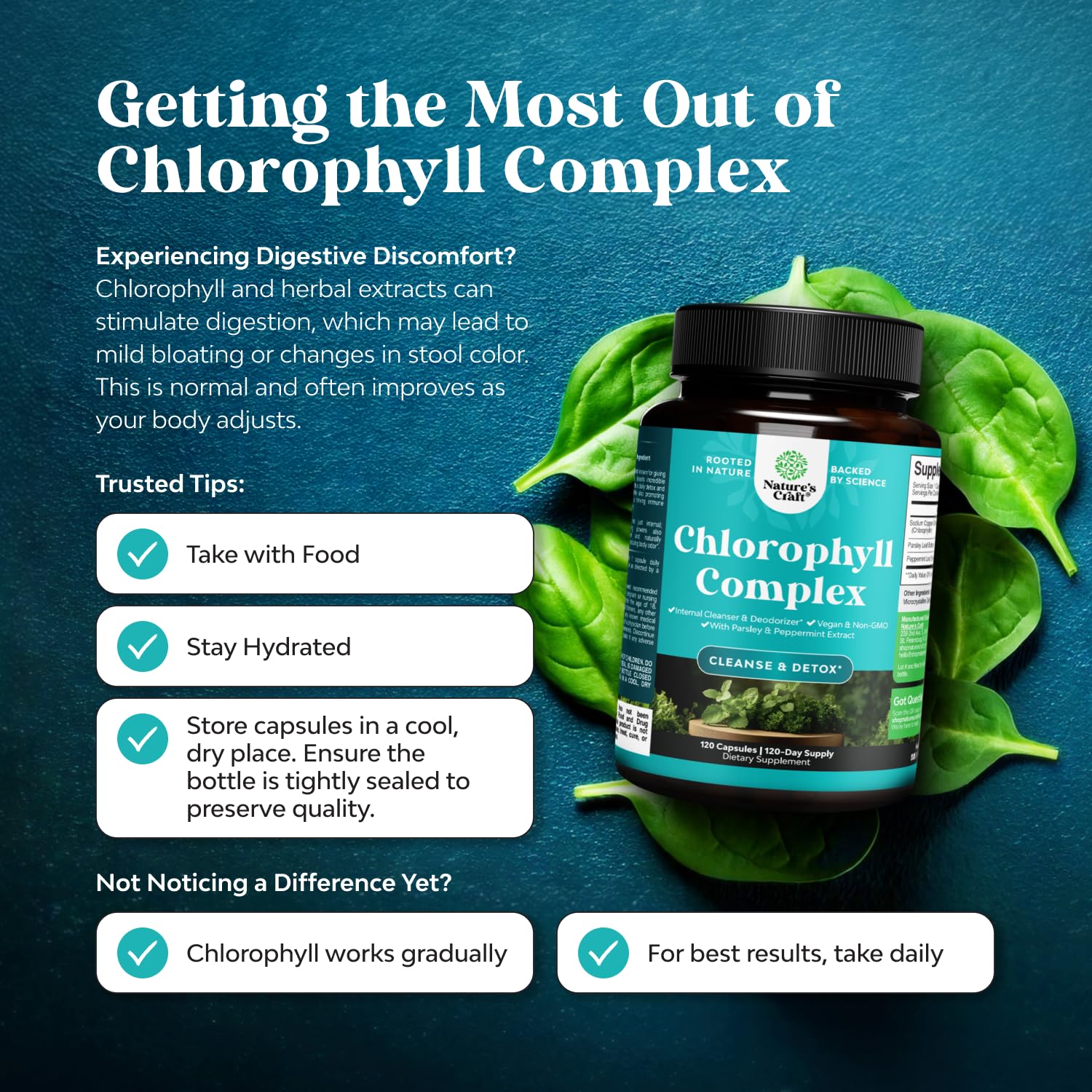 Chlorophyll Detox Capsules for Body Odor – Mint & Parsley (Vegan, Non-GMO, Gluten Free) 120ct