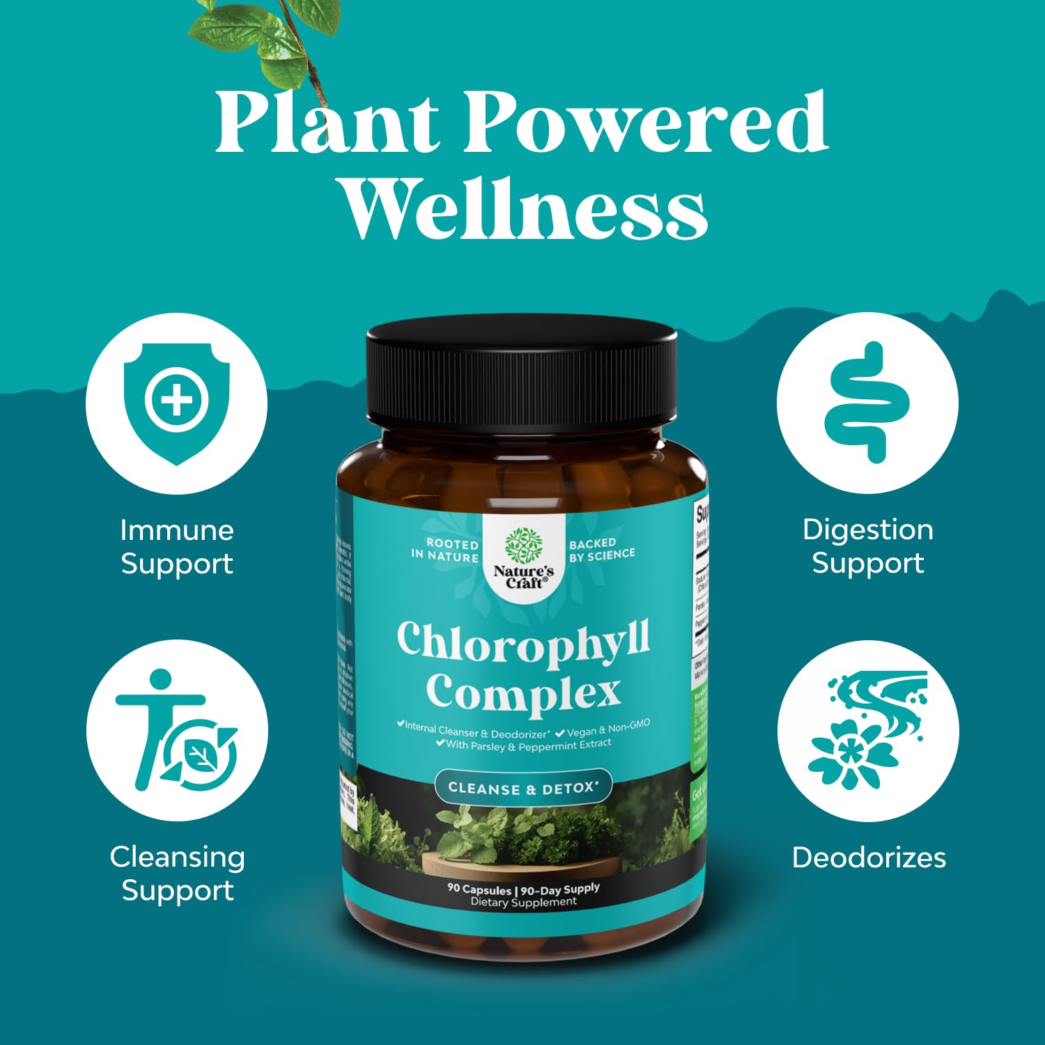 Chlorophyll Capsules for Body Odor & Detox | Mint & Parsley | Vegan Non-GMO Gluten Free (90ct)