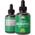 Chlorophyll Liquid Drops – Ultra High Purity, Alcohol Free, Non-GMO, Gluten Free | Immune & Digestive Support