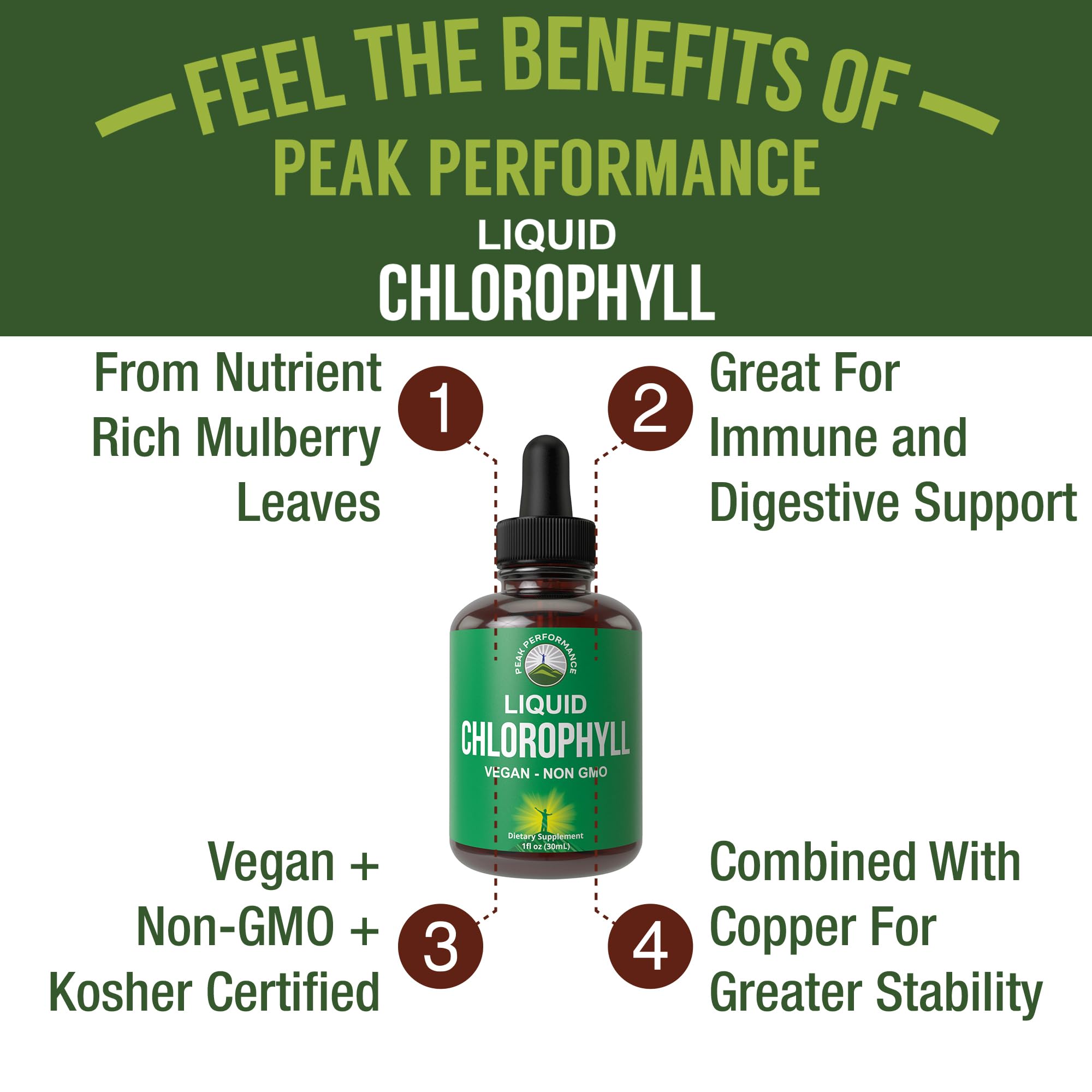 Chlorophyll Liquid Drops – Ultra High Purity, Alcohol Free, Non-GMO, Gluten Free | Immune & Digestive Support