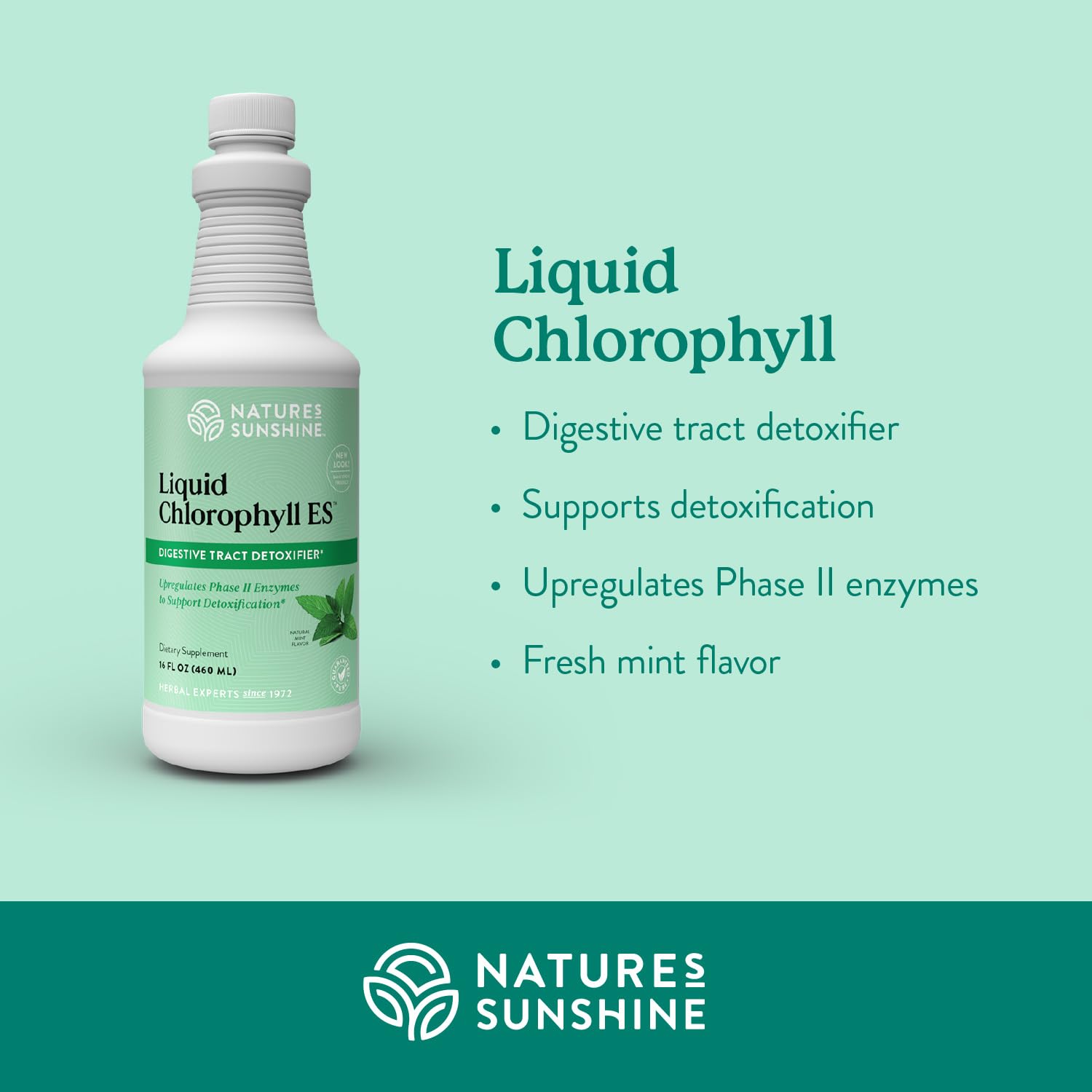 Nature's Sunshine Liquid Chlorophyll Extra Strength – Immunity & Detox (16 oz)