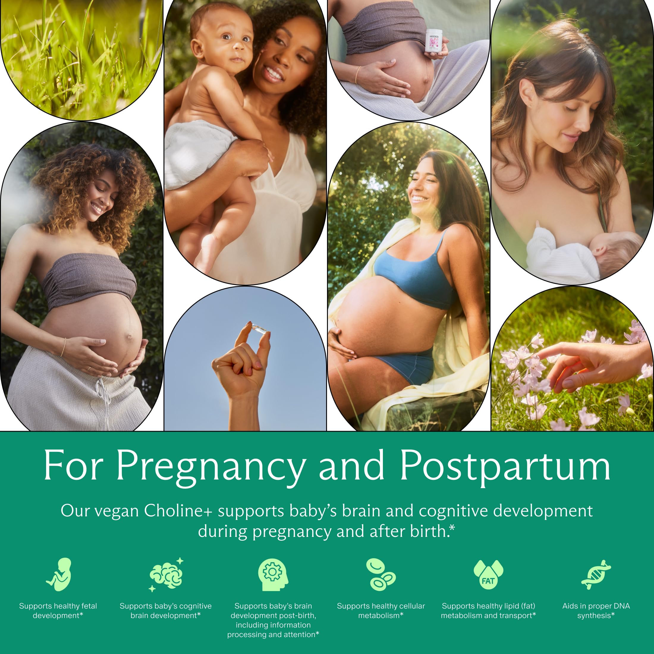 Prenatal Choline+ Liquid Capsules for Cognitive Development – Third-Party Tested (30 Caps)