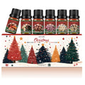 Christmas Essential Oils for Diffuser - 6 x 10ml Holiday Gift Set