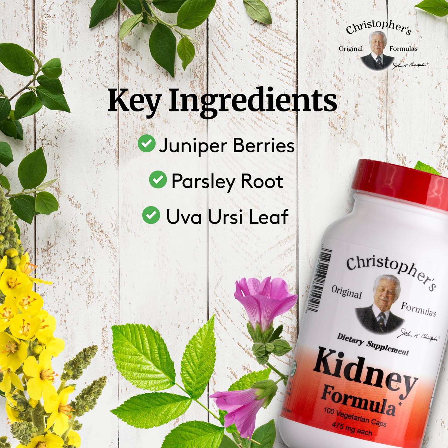 Christopher's Original Formulas Kidney Formula - 500 mg, 100 Caps