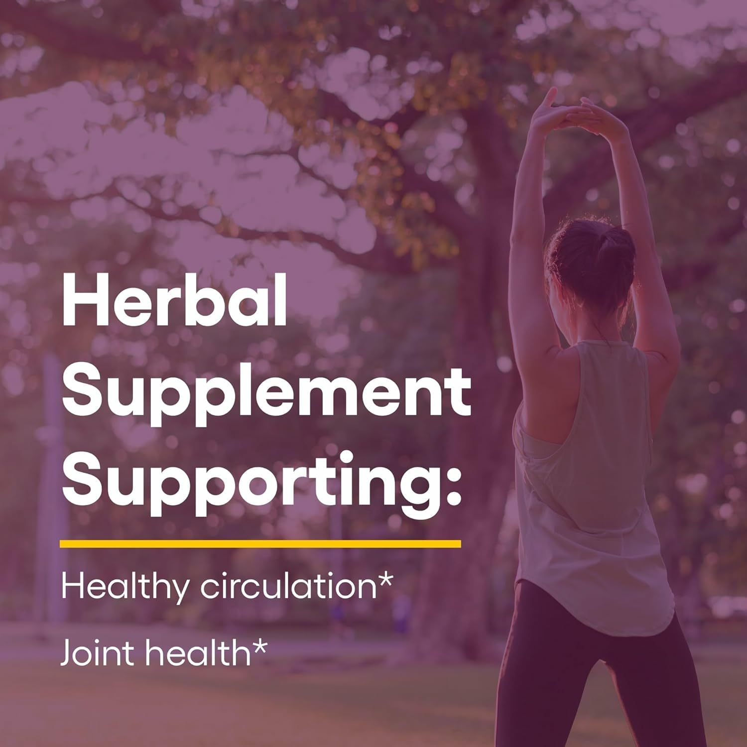 Natural Factors Celery Seed Extract: Concentrated Celery Seed for Healthy Circulation & Heart Support