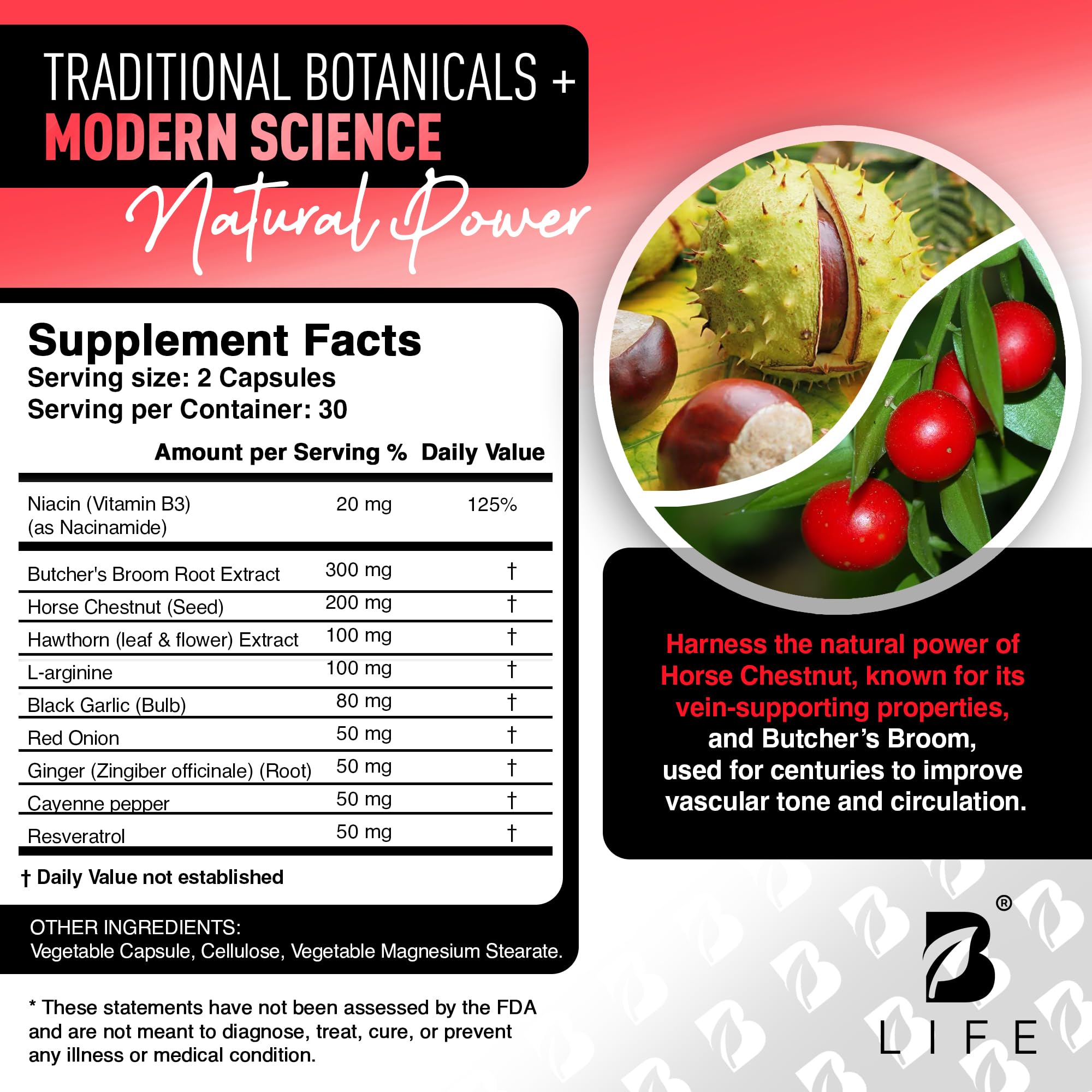 Circulation Support for Vein & Artery Health | Vascular Support with L-Arginine, Horse Chestnut & Butcher’s Broom | 60 Capsules