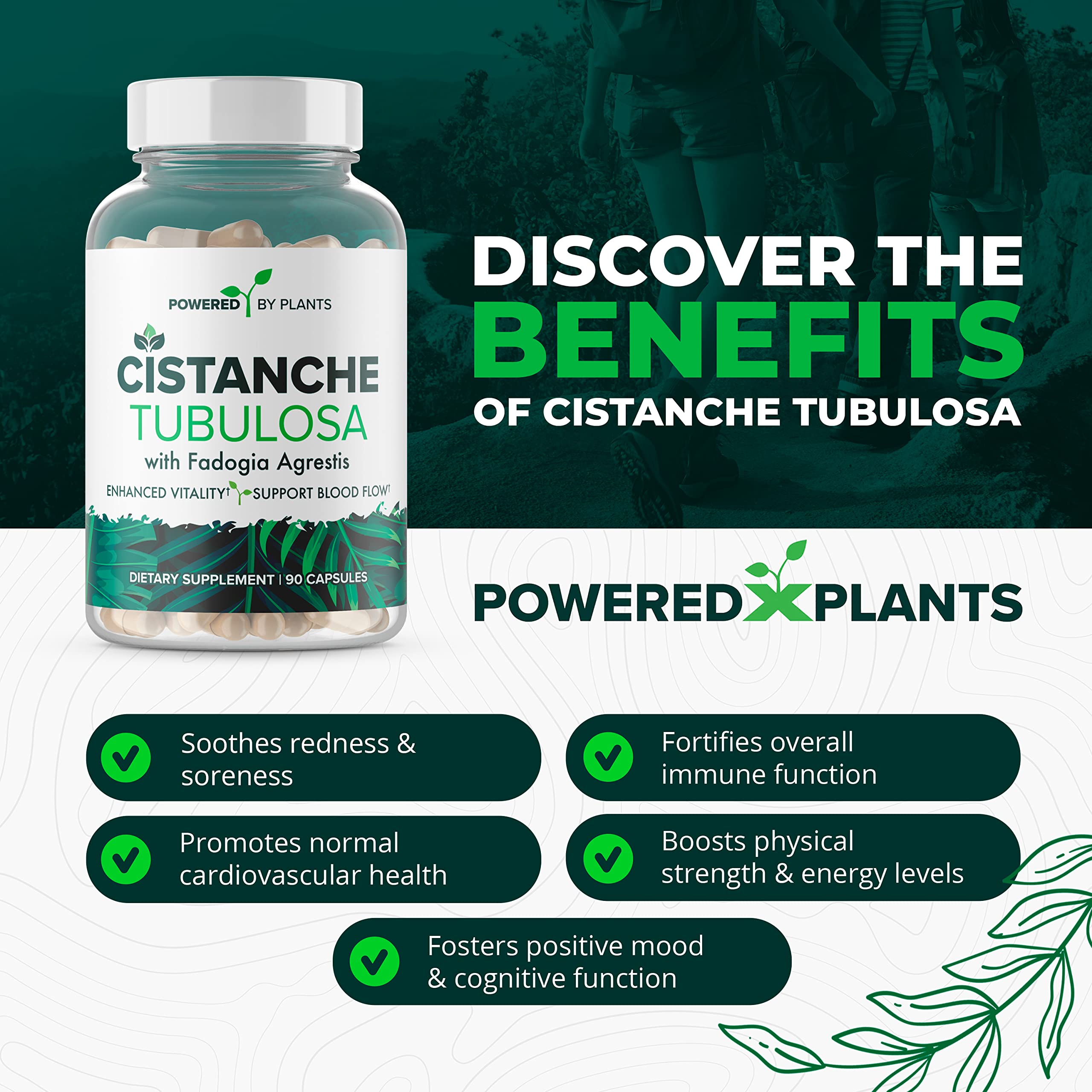 Cistanche Tubulosa with Fadogia Agrestis – Powered X Plants, 90 Servings