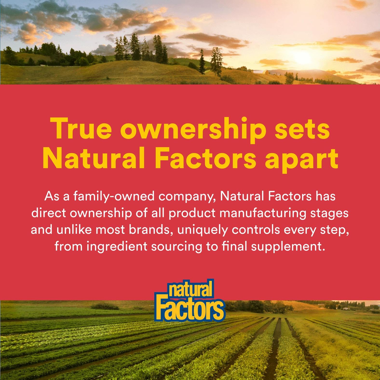 Natural Factors Citrus Bioflavonoids 650mg - Support for the Body's Use of Vitamin C - 90 Capsules