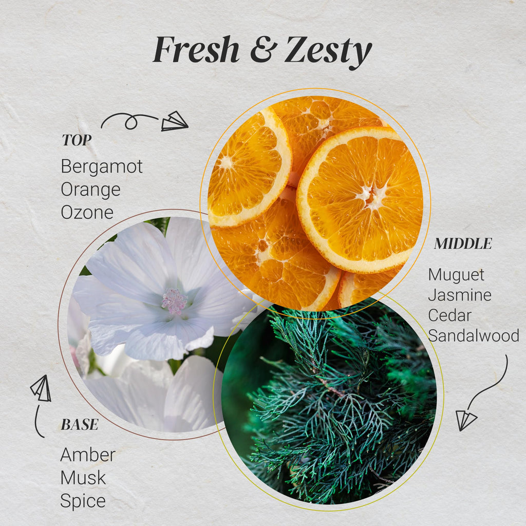 Citrus Burst Essential Oils for Diffusers for Home - 0.33 oz | IFRA Certified, Family-Friendly