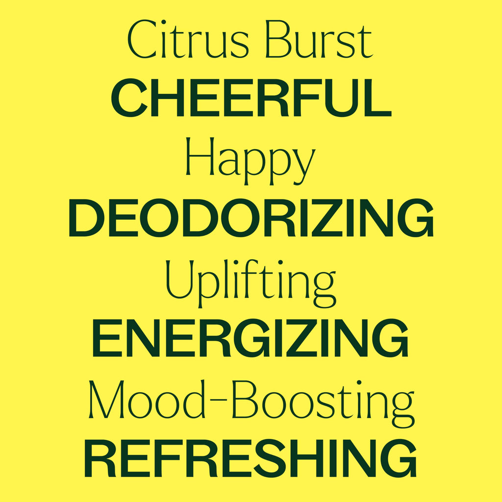 Plant Therapy Citrus Burst Essential Oil Blend 30 mL (1 oz) – 100% Pure, Undiluted, Therapeutic Grade