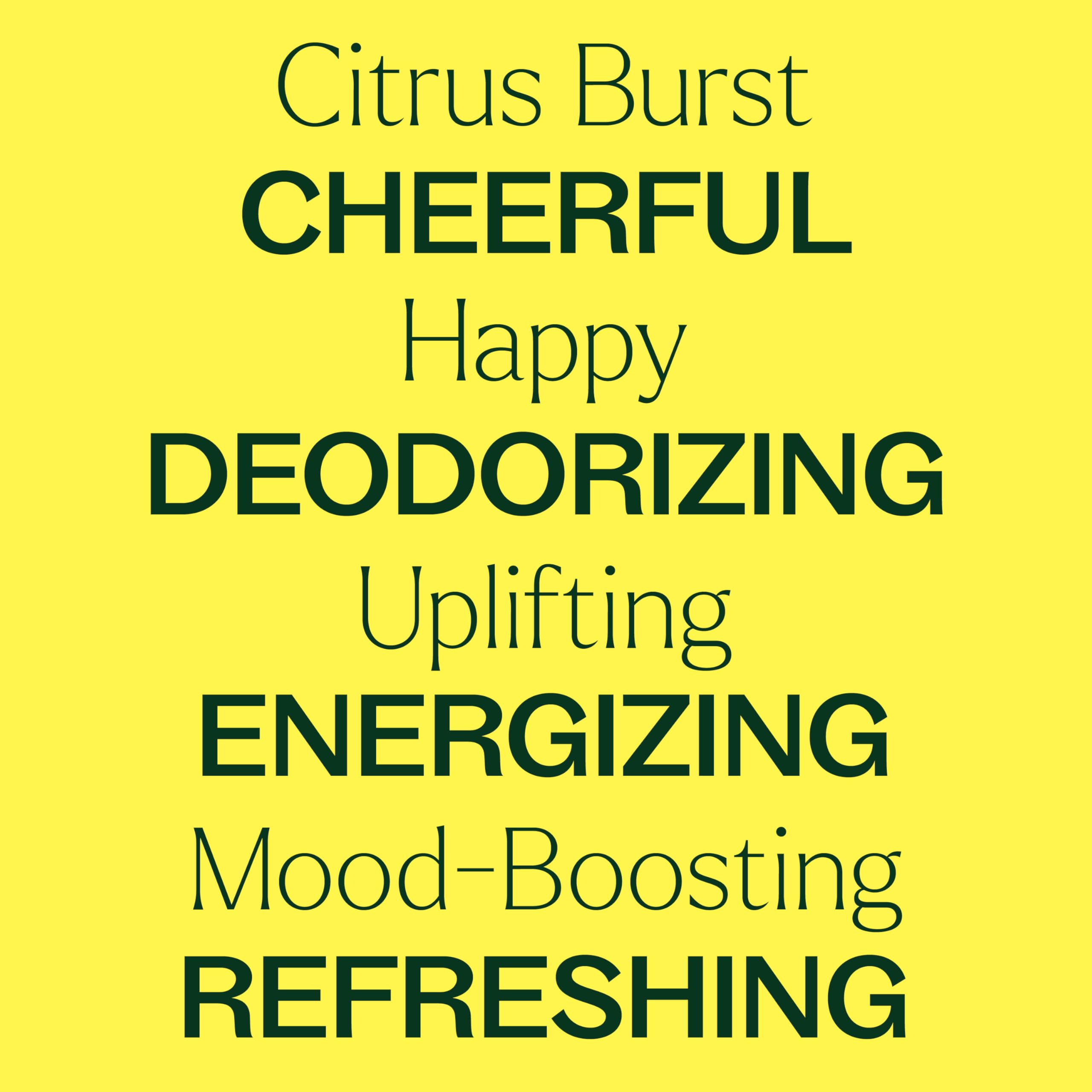 Plant Therapy Citrus Burst Essential Oil Blend 30 mL (1 oz) – 100% Pure, Undiluted, Therapeutic Grade