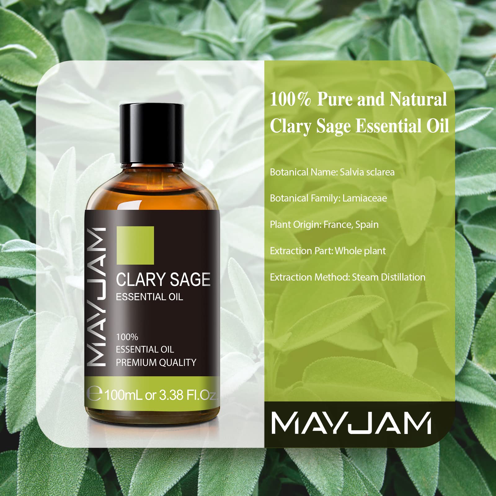 Clary Sage Essential Oil with Glass Dropper – MAYJAM 100ml (3.38 fl oz) for Aromatherapy & Relaxation