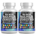 Clean Nutraceuticals 15-in-1 Sea Moss & Black Seed Oil 2-Pack | Ashwagandha Turmeric Blend