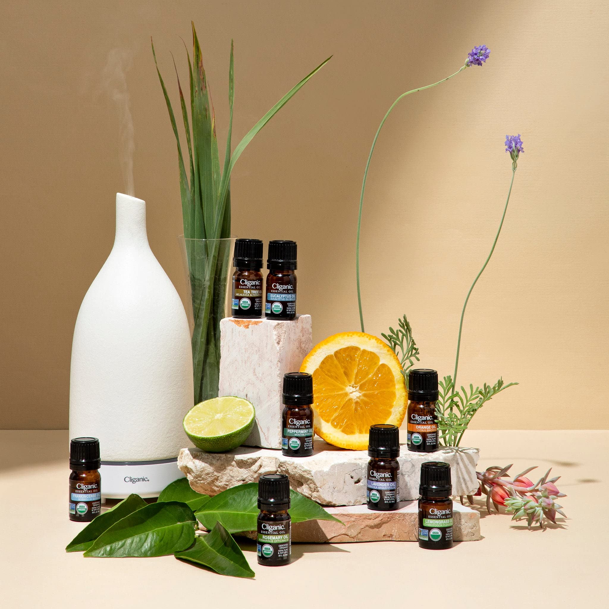 Cliganic Organic Oregano Essential Oil – 0.33 oz | 100% Pure
