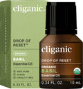 Cliganic Organic Basil Essential Oil 0.33oz - 100% Pure & USDA Organic