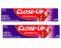 Close-Up Cinnamon Anticavity Fluoride Toothpaste 6 Ounce Pack of 2