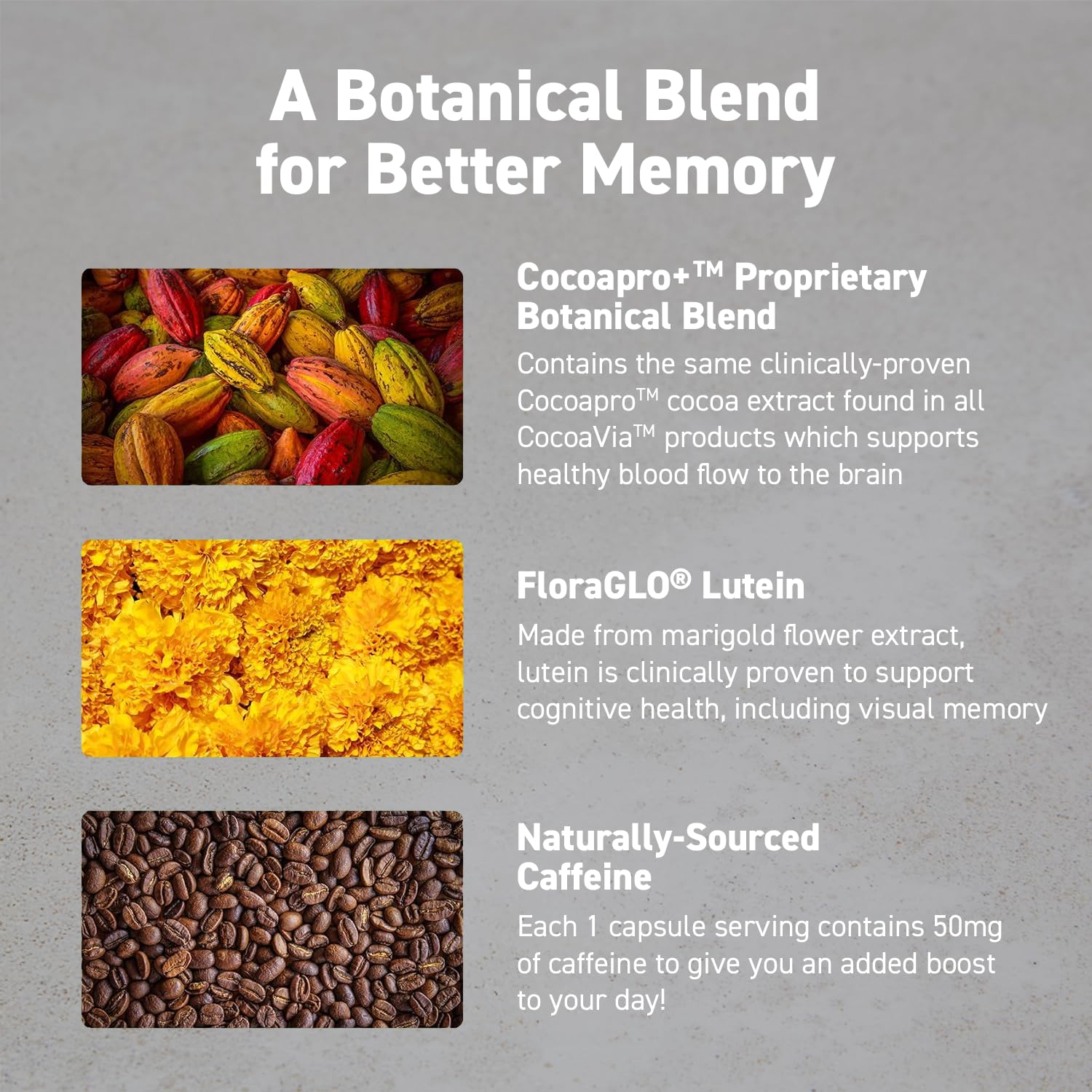 CocoaVia Memory & Focus Brain Supplement – 30 Day, Cocoa Flavanol, Lutein, Caffeine