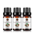 3 Pack Coconut Essential Oil - Pure Undiluted Coconut Oil 3x10ml
