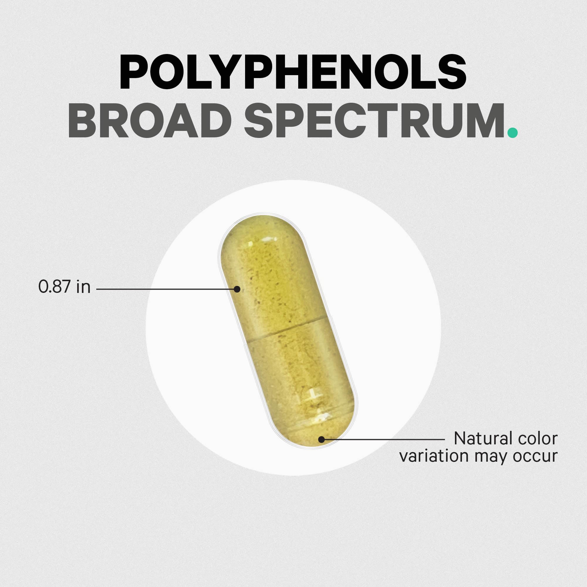Codeage Polyphenols Broad Spectrum Supplement - 120 Capsules | Non-GMO, Vegan