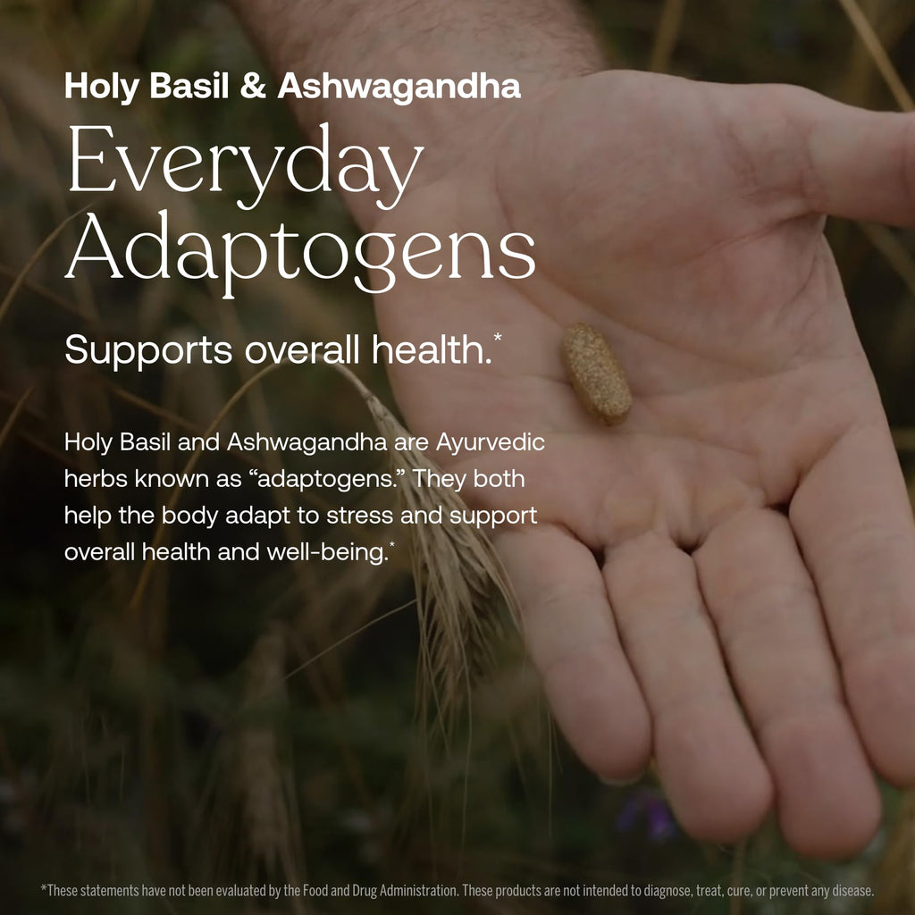 True Grace One Daily Men's Multivitamin - Fermented Minerals, Organic Adaptogens & Mushrooms