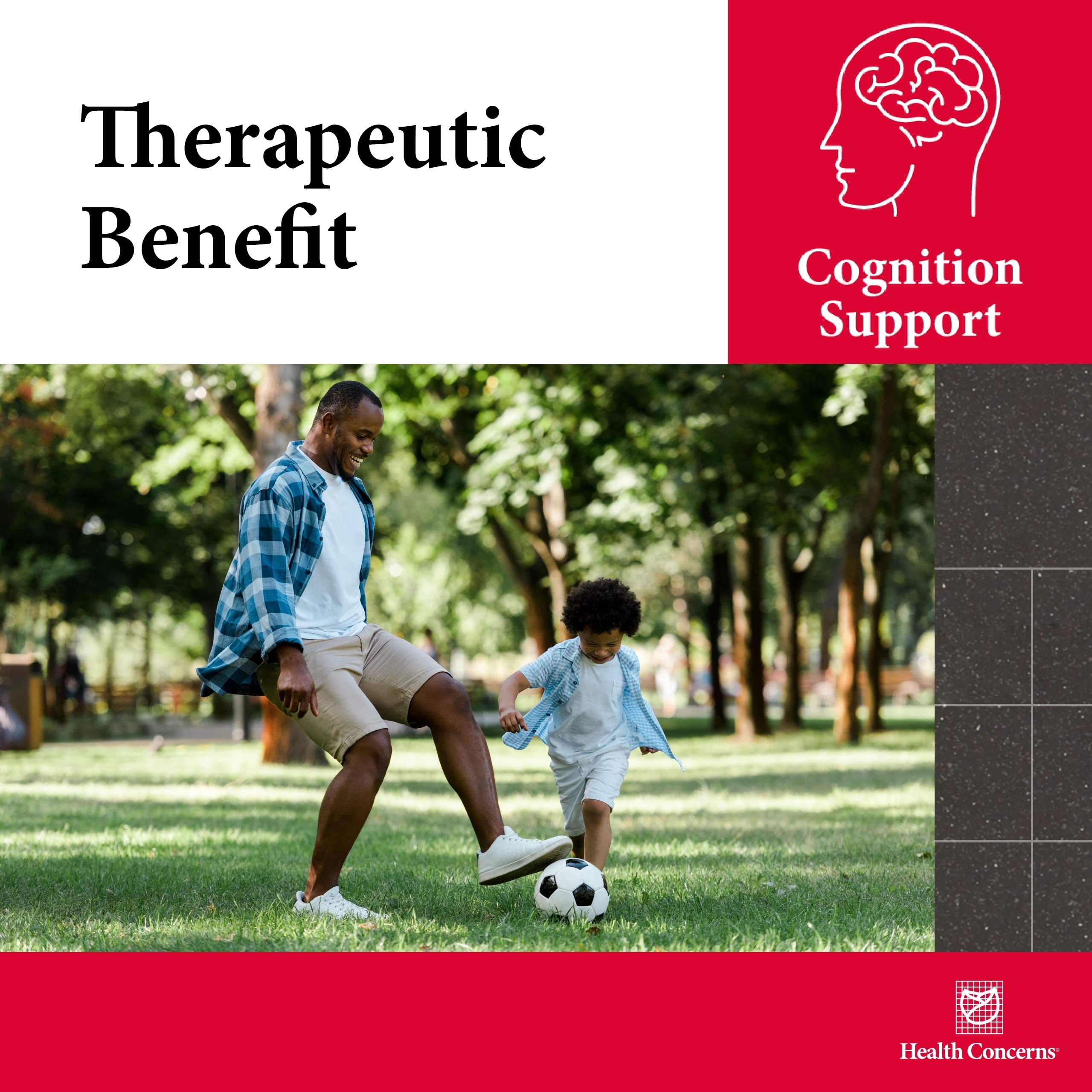 Cogni-Spark Brain Support – Alpha-GPC Choline for Memory & Focus | Health Concerns – 30 Capsules