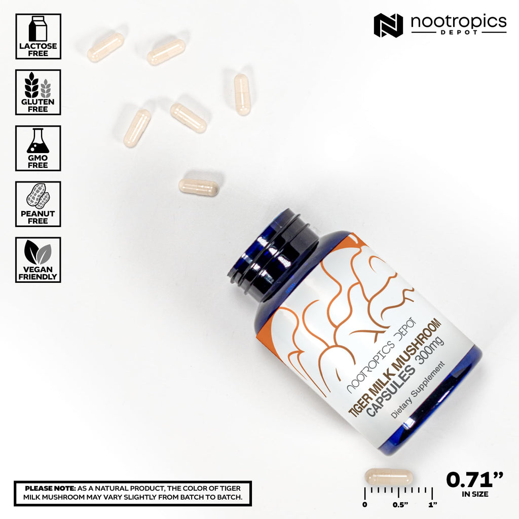 Nootropics Depot Tiger Milk Mushroom Capsules 300mg - 60 Count | Lignosus rhinocerus Sclerotium | Cognition, Histamine & Respiratory Support