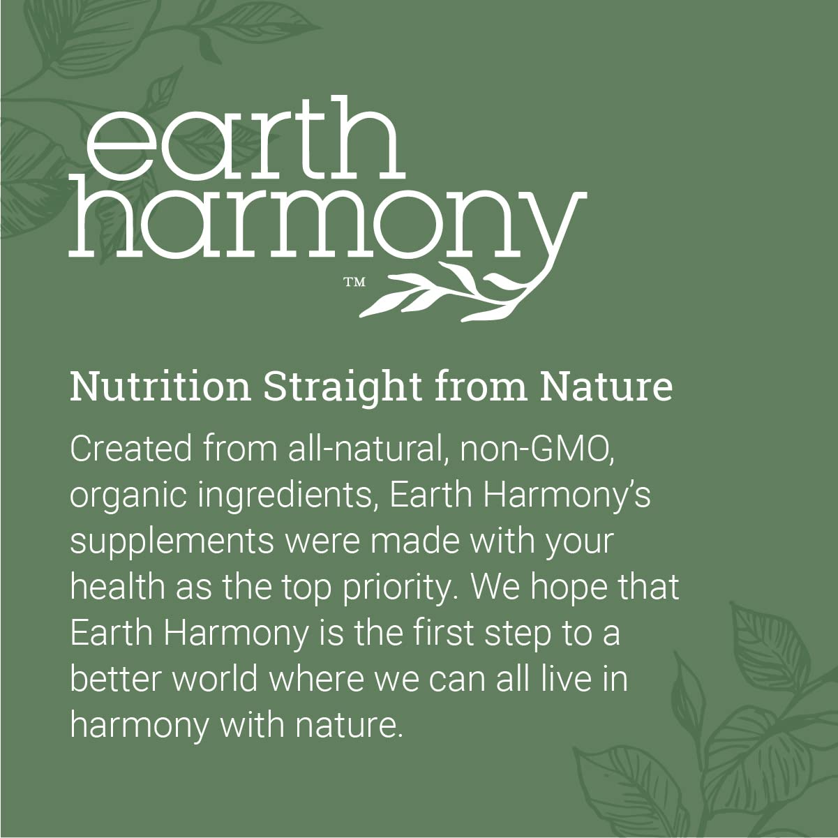 Earth Harmony Naturals Organic Lions Mane Supplement (1000mg) - 120 Capsules, 2-Month Supply