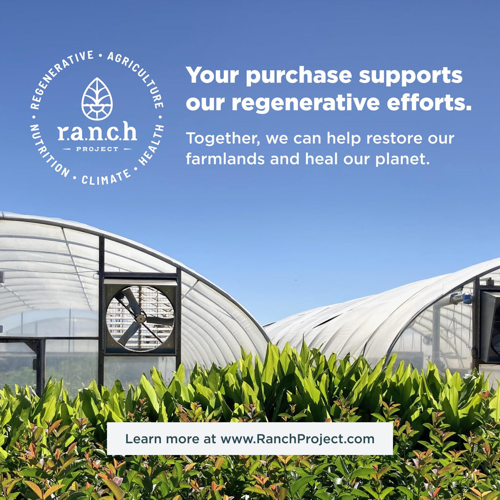 Ancient Nutrition Organ Supplements – Grass-Fed & Wild Organ Complex, 180 Count