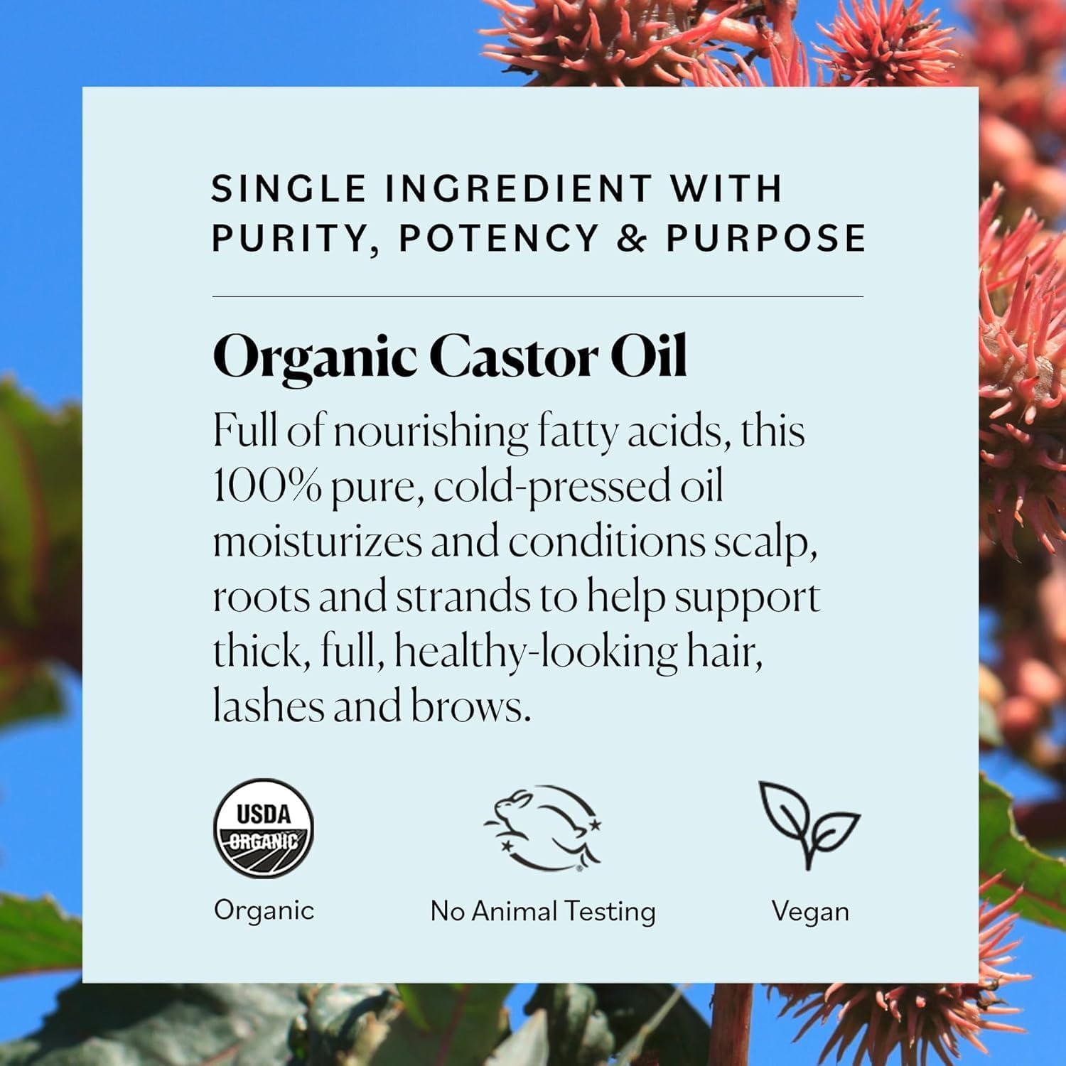 Sky Organics Castor Oil Organic – Volumizing Hair Oil for Scalp, Lashes & Brows | Cold-Pressed, 16oz, 2 Pack