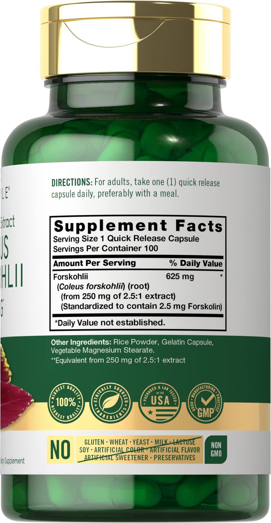 Carlyle Coleus Forskohlii Capsules | 625mg | 100 Count | Non-GMO & Gluten Free Standardized Extract | Forskolin Supplement