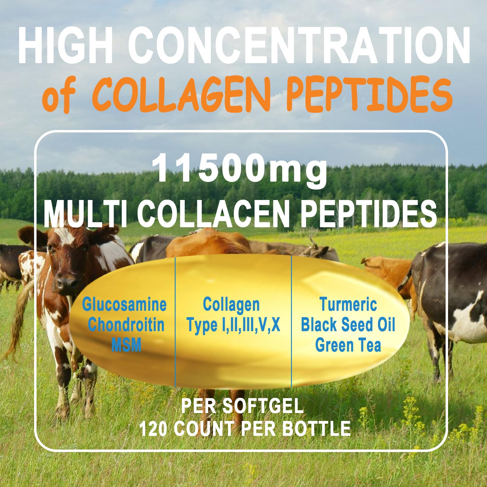 Collagen Peptides Softgels – Multi Collagen with Glucosamine, MSM, Biotin | Non-GMO