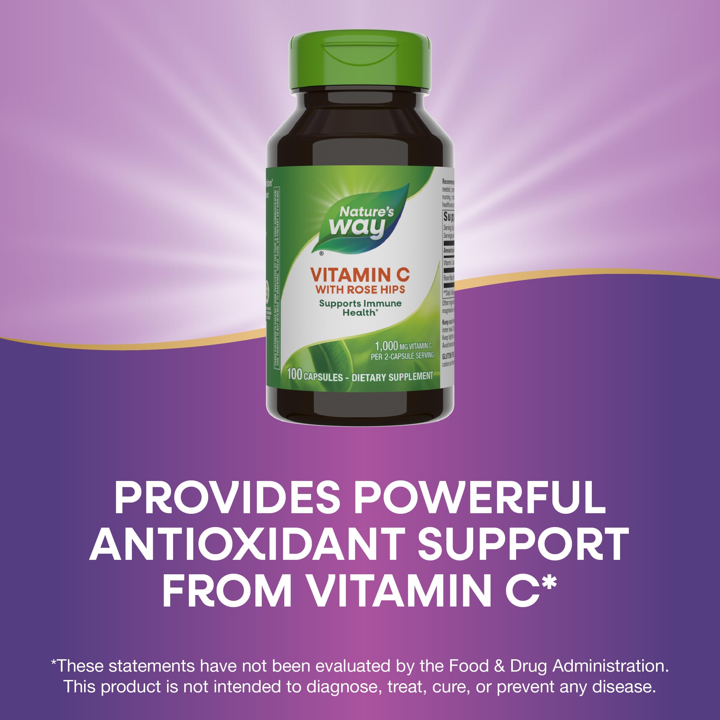 Nature's Way Vitamin C with Rose Hips - 1000 mg Immune Support (2-Pack)