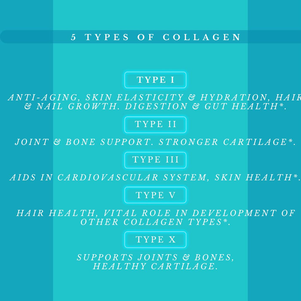 Multi Collagen Pills Plus 180 Capsules (Types I-V-X) + Absorption Enhancer – 3 Months Supply | Non-GMO